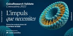 CaixaResearch Validate