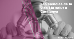 Informe