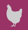 Gallina