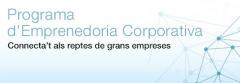 Programa Emprenedoria Corporativa